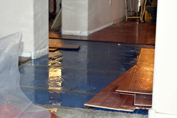 Professional Flood Cleanup technician working in Higbee, MO
